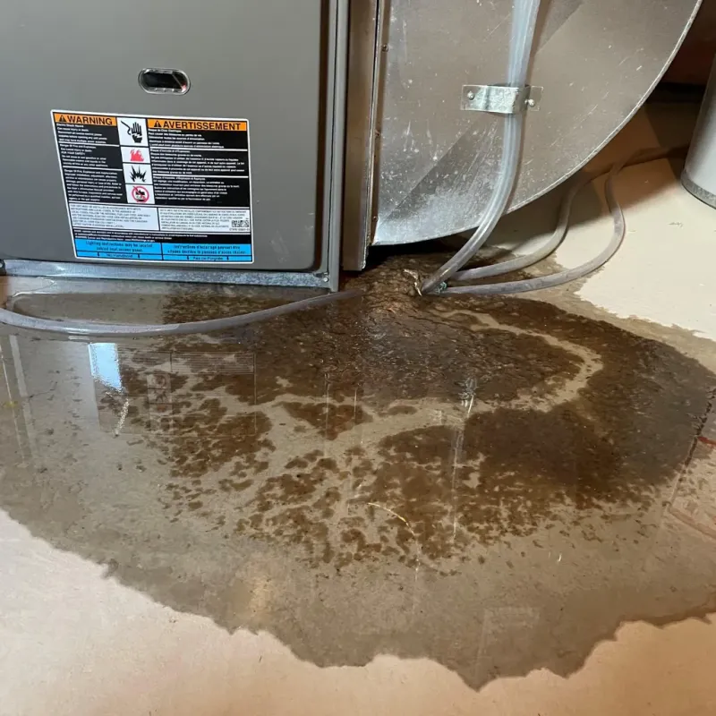 Appliance Leak Cleanup in Batesburg-Leesville, SC