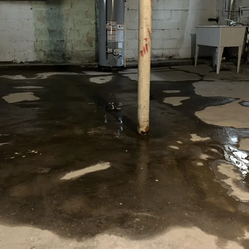 Emergency Water Extraction And Removal in Batesburg-Leesville, SC